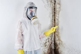 Best Commercial Mold Inspection  in USA